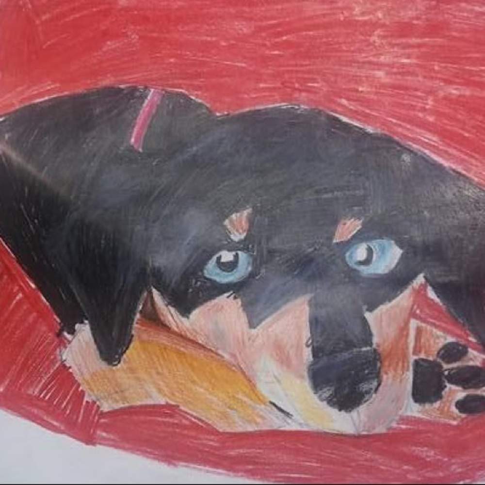 Meet your Posher, Ana